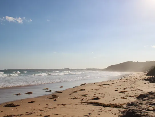 Phillip Island, Great Ocean Road und Grampians